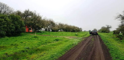 Imagen 18 de 21 de Campo En General Madariaga-