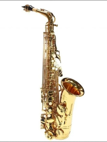 Imagem 1 de 7 de Saxofone Alto Jahnke Mib Dourado Original Novo -jash001 Top-