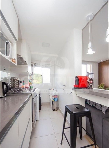 Apartamento - Jardim Carvalho - Ref: 204552 - V-204664