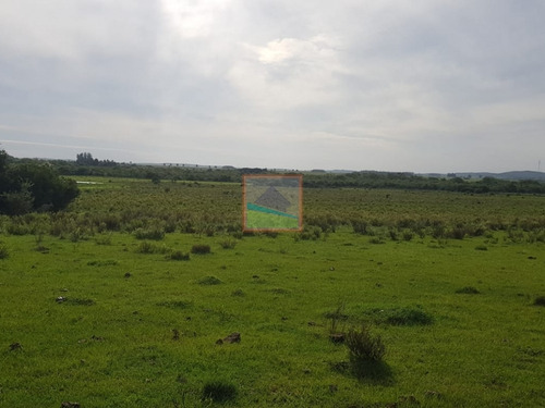 Imagen 9 de 14 de Campo 57 Hás En Garzón