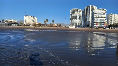 Arriendo Dpto Amoblado Año Corrido Av. Del Mar 2d 1b