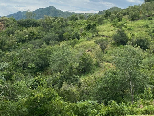 Imagen 10 de 30 de Agua De Dios - Finca De Produccion En Venta