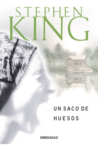 Libro Un Saco De Huesos De Stephen King