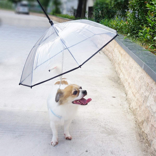 Paraguas Para Perros Con Correa Lesypet A Pedido