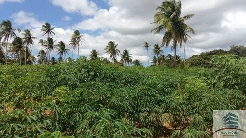 Granja A Venda São José De Pipibú