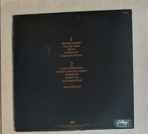 Lp Vinil Kate Bush (Usado)