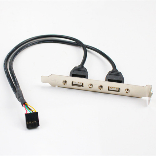 Expansión Placa Madre 2 Puertos Usb 2.0 Blanco Leche