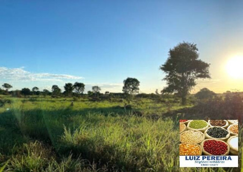 Imagem 9 de 15 de Fazenda A Venda No Formoso Do Araguaia-to-de 240 Alqueirões (dupla Aptidão) - 1669