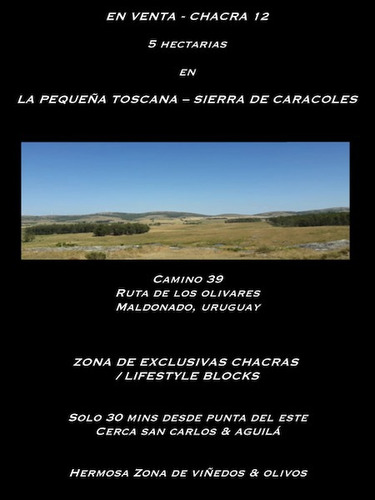 Imagen 7 de 11 de Campo En Venta Otras 5 Hectáreas