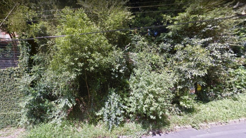 Terreno/lote Residencial Residencial Para Venda, Teresópolis, Porto Alegre - Te0096. - Te0096-inc