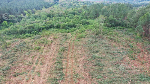 Imagen 2 de 7 de Se Vende Chacra De 50 Ha En Loreto Misiones Suelo 9