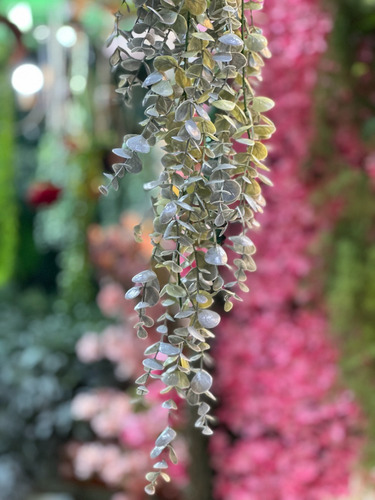 Plantas Artificiales, Lady Pía ,caídas De Jardín C/vara