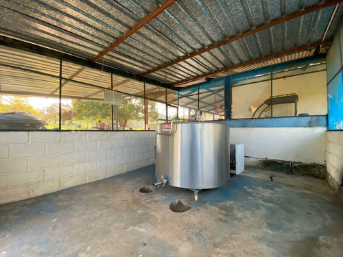 Imagen 8 de 13 de Finca En Santa Barbara De Barinas