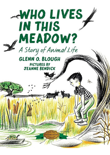 Libro: Who Lives In This Meadow?: A Story Of Animal