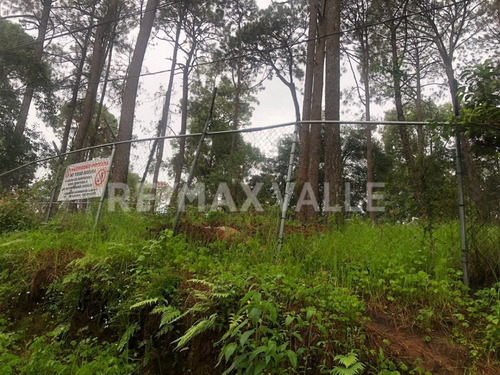 Imagen 2 de 3 de Terreno En Venta