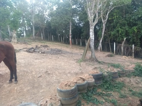 Chacara - Ch00054 - 67865710