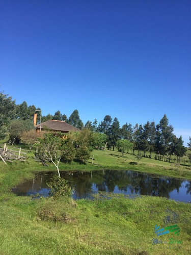 Imagen 8 de 24 de 5 Has Con Casa En Carape A Minutos De P. Edén Y Punta - Zona Rural Zona Rural