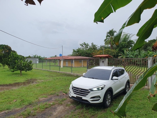 Imagen 15 de 15 de Hyundai Tucson 2017 Whsssa 68420214 O 69627115 Persona