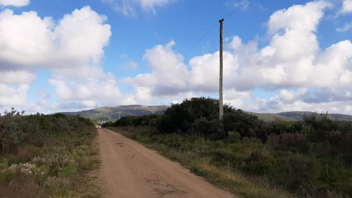 Imagen 7 de 11 de Chacra De 6 Hectáreas Muy Cerca De Ruta 9