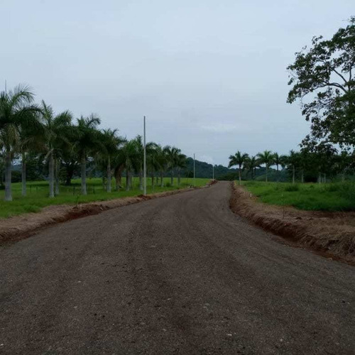 Imagen 14 de 14 de Lotes P/quintas Desde ¢24.5 Millones, 5.000 M2, San Mateo