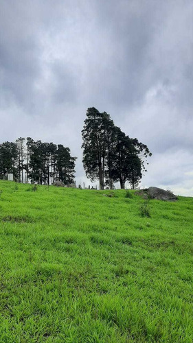 Imagem 6 de 14 de Terrenos Em São Roque Interior De São Paulo