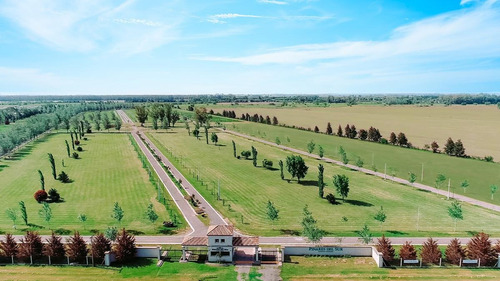Imagen 4 de 4 de Terreno - Pinares Del Sur - 988m2