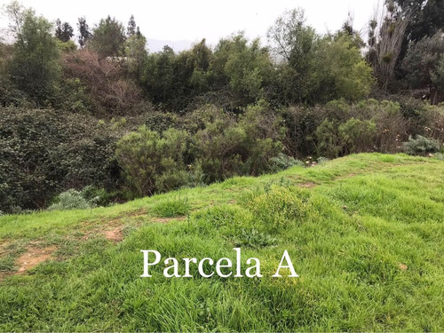 Se Vende Terreno Sector Los Laureles, Limache