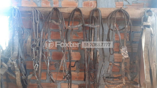 Imagem 4 de 15 de Fazenda / Sítio / Chácara, 2 Dormitórios, 504 M², Sítio São José - 218392