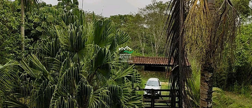 Imagem 16 de 30 de Casa Com 3 Dorms, Area Rural, Pedro De Toledo - R$ 500 Mil, Cod: 821 - V821