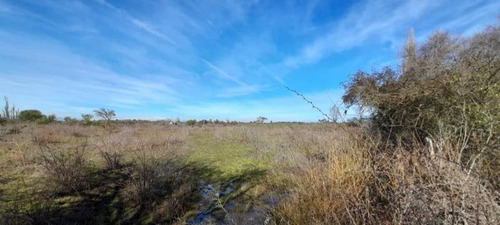 Campo Para Inversión En San Carlos