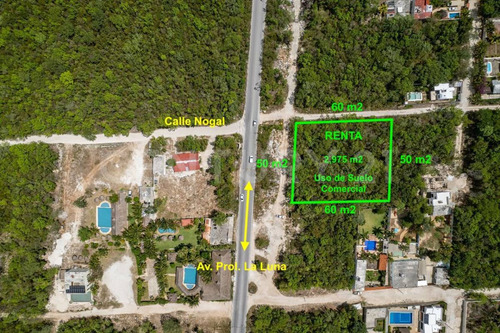 Venta Terreno Comercial De 2.975m2 Sobre Av. Prolongación La Luna, Cancún C3219