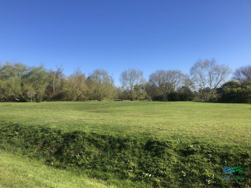 Imagen 10 de 16 de Terreno De 2000 M2 En Venta Zona Punta Ballena Barrio Los Tordillos - Punta Ballena Los Tordillos