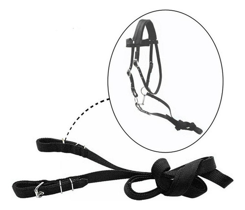 Rienda De Caballo Con Cabestro De Control De Negro M