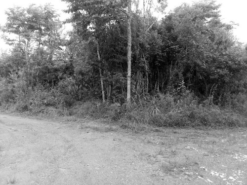 Imagem 1 de 3 de Terreno Em Bocaiuva Do Sul - Te00017 - 32180990