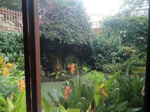 Imagen 21 de 29 de Venta De Casa De Un Nivel En Lomas De Vista Hermosa En Cuernavaca