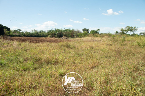 Imagen 4 de 11 de Venta De Finca Agricola En Masaya