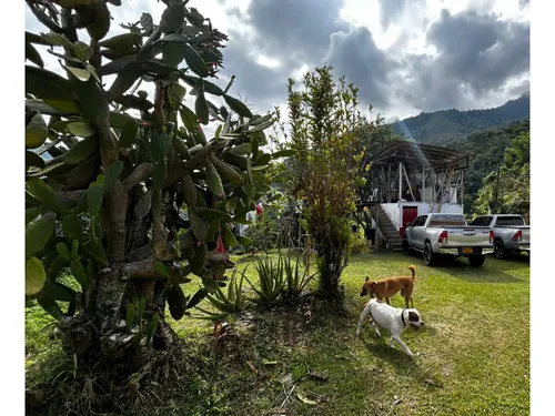 Se Vende Finca En Barragán