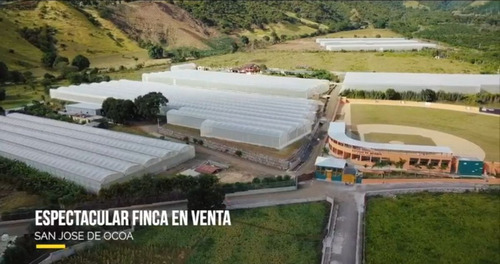 Finca En San José De Ocoa