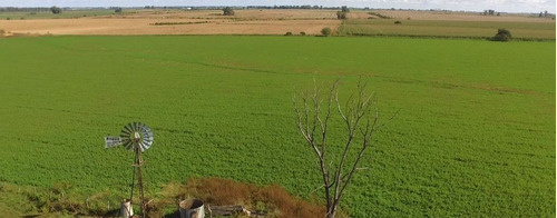 Imagen 5 de 9 de 12 Hectáreas Agrícolas En Aldea San Antonio, Gualeguaychú.