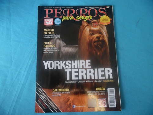 Revista Perros Pura Sangre 12 Año 15 Yorkshire Terrier