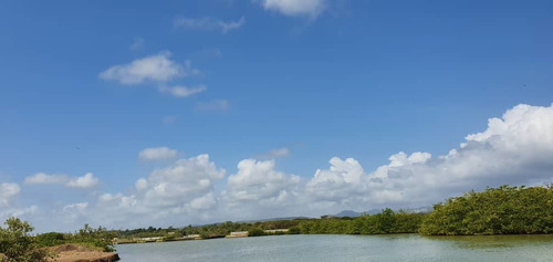 Imagen 20 de 22 de Townhouse De 115m2 Con Muelle Privado.