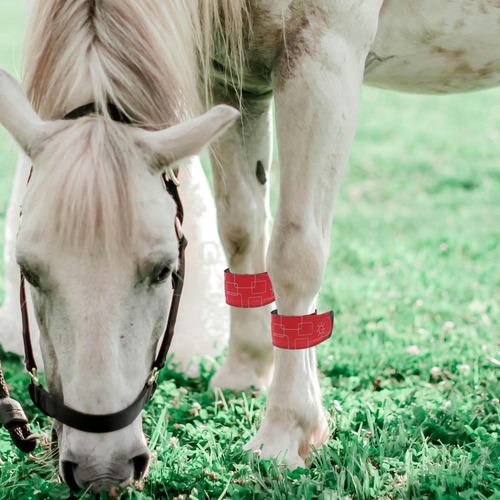 4 Tobilleras Led Para Caballos, Ajustables, De Alto Brillo