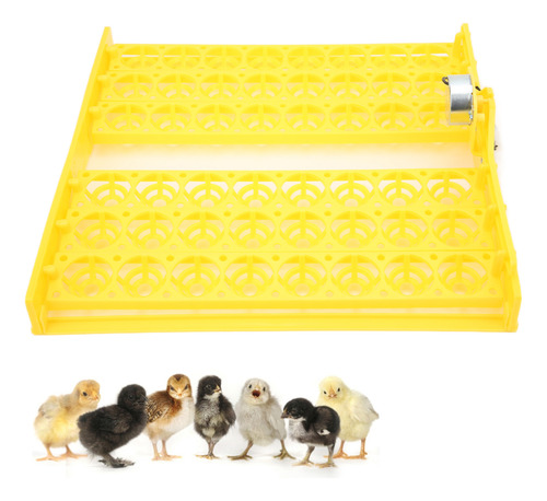 Volteador De Huevos Automático Para 48 Huevos Abs, Girador D