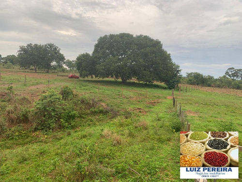 Imagem 1 de 15 de Fazenda À Venda Em Monte Santo - To - De 83 Alqueirões (dupla Aptidão) - 1623