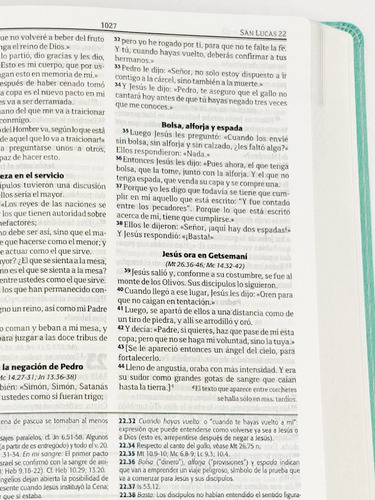 Imagen 4 de 8 de Biblia De Estudio Eco Cuero Rosa Reina Valera Contemporánea