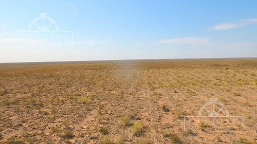 Imagen 4 de 6 de Campo En Venta - Finca Productiva En Mendoza