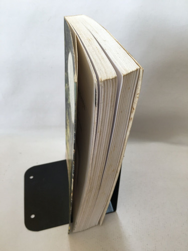 Livro O Senhor Dos Anéis A Sociedade Do Anel J R R Tolkien Martins Fontes J590 (Usado)