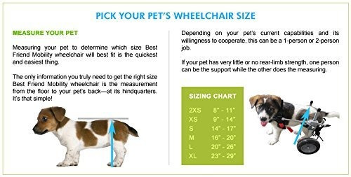 Imagen 2 de 2 de Silla De Ruedas: Xx-small- Xx.best Mobilñity Dog Smail Zize