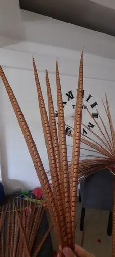 Plumas Ladies Faisan Artificiales De 90cm Calidad Premium