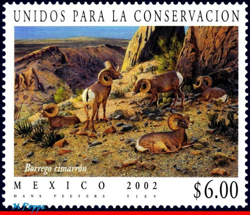 México 2002 : Unidos Conservacion Fauna Borrego Cimarron 